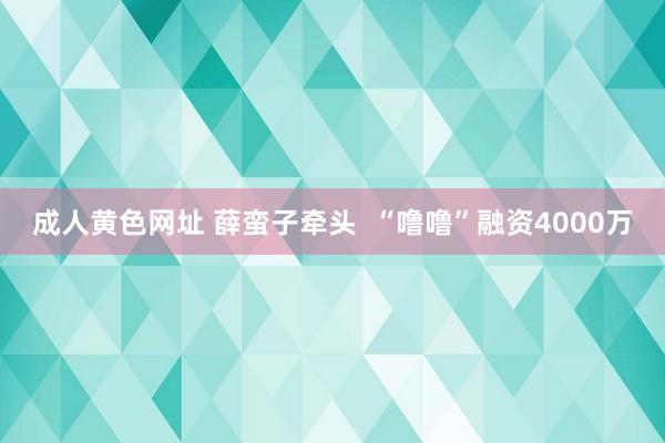 成人黄色网址 薛蛮子牵头  “噜噜”融资4000万