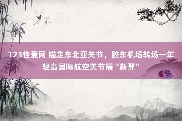 123性爱网 锚定东北亚关节，胶东机场转场一年轻岛国际航空关节展“新翼”