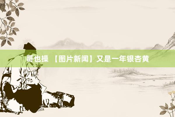 哥也操 【图片新闻】又是一年银杏黄