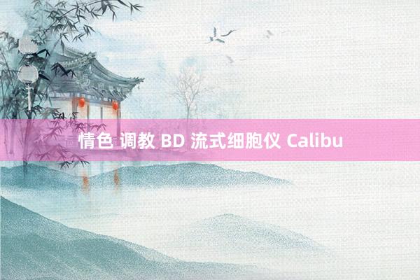 情色 调教 BD 流式细胞仪 Calibu