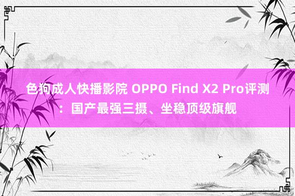 色狗成人快播影院 OPPO Find X2 Pro评测：国产最强三摄、坐稳顶级旗舰