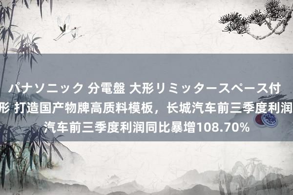 パナソニック 分電盤 大形リミッタースペース付 露出・半埋込両用形 打造国产物牌高质料模板，长城汽车前三季度利润同比暴增108.70%