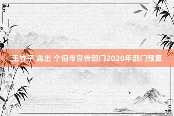 王竹子 露出 个旧市宣传部门2020年部门预算