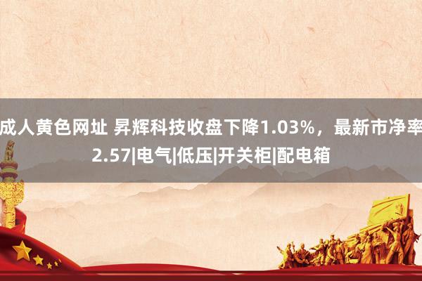 成人黄色网址 昇辉科技收盘下降1.03%，最新市净率2.57|电气|低压|开关柜|配电箱